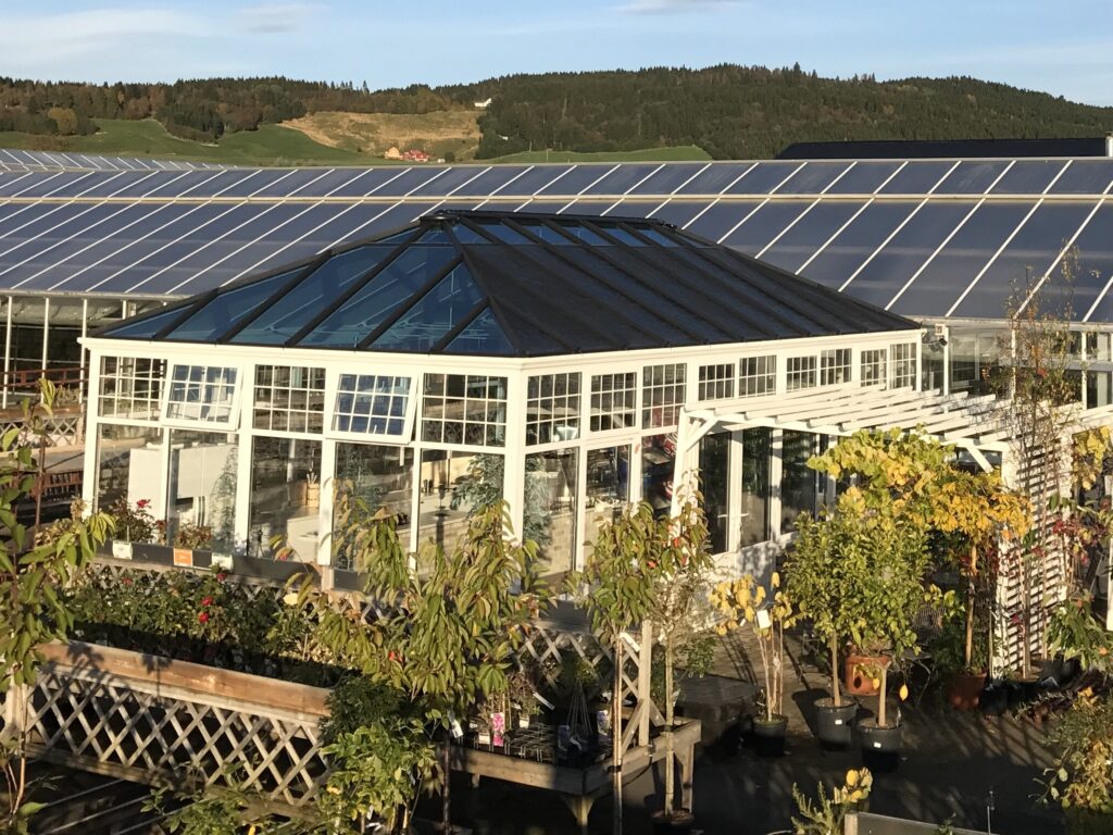 Edwardian-Stiklestad-1