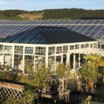 Edwardian-Stiklestad-1