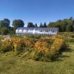 Ecoslider proff 5m side