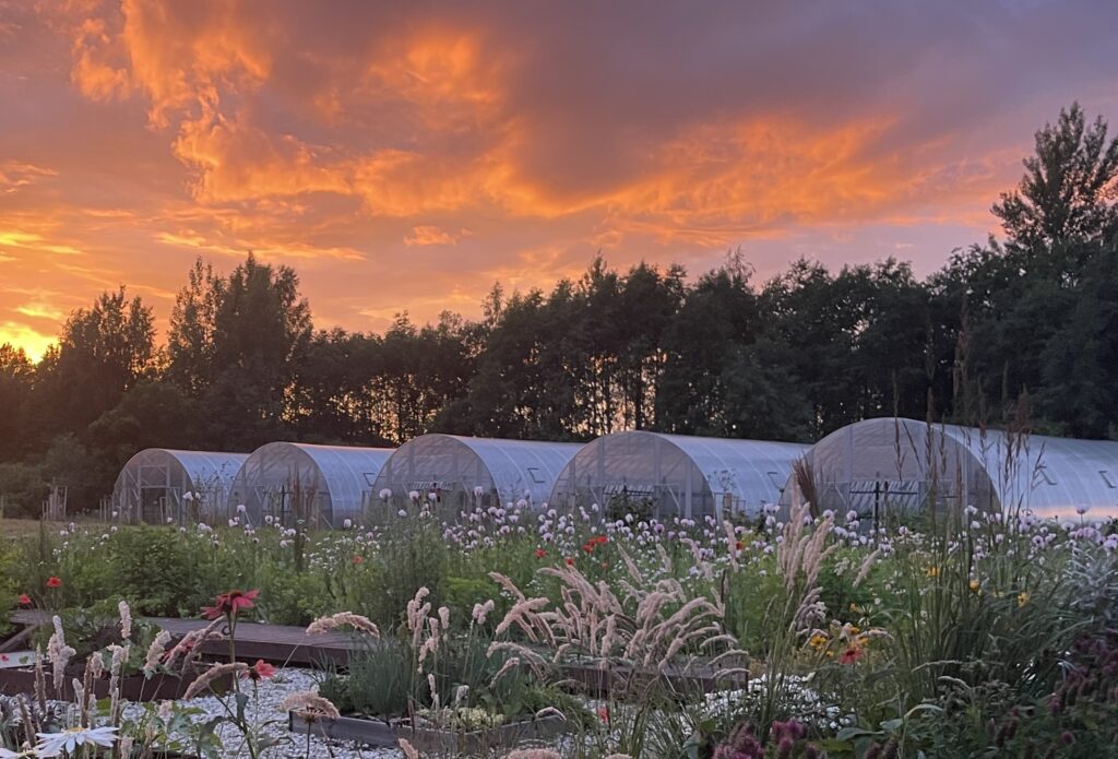 Ecoslider proff 7m 5stk solnedgang