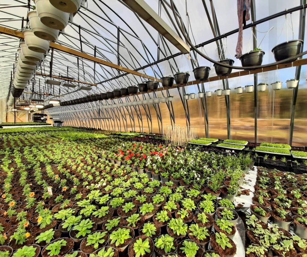 Ecoslider proff 7m inv pottplant