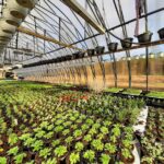 Ecoslider proff 7m inv pottplant