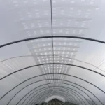 Rovero Vento film langt hus