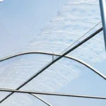 Rovero vento film nærbilde